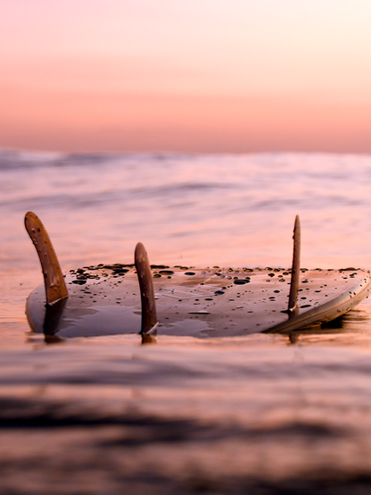 Quilha Futures Hang Loose x Farms