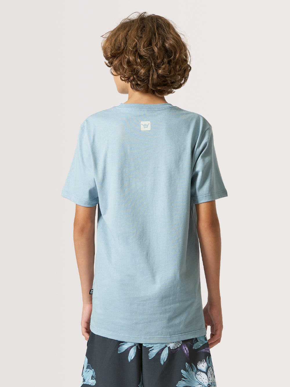Camiseta Juvenil Hang Loose Aloha Azul